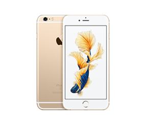 iPhone 6