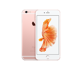 iPhone 6 Plus